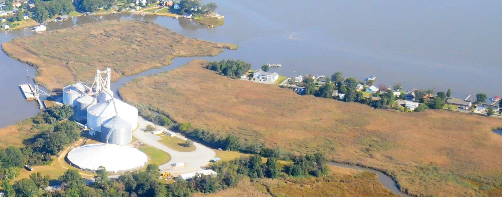 Coleman Island, Essex County, Virginia